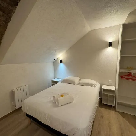 公寓 Special Groupe, 10 Personnes, Centre Vieux 里昂