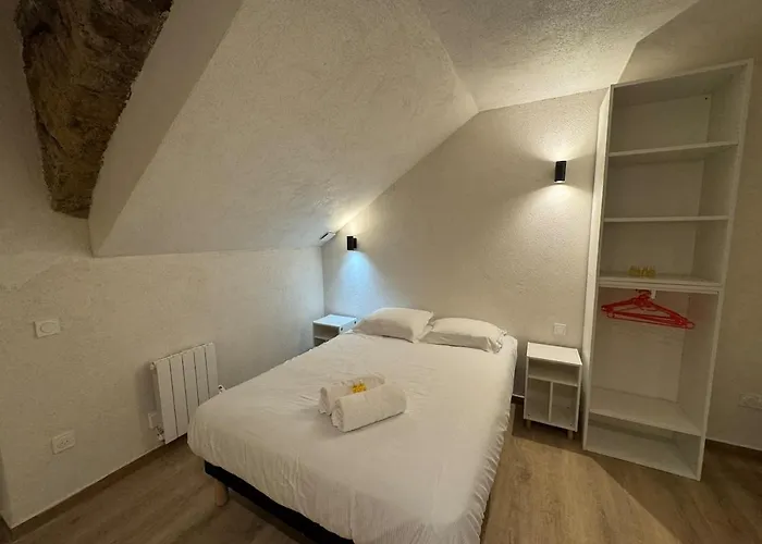 Appartement Special Groupe, 10 Personnes, Centre Vieux Lyon